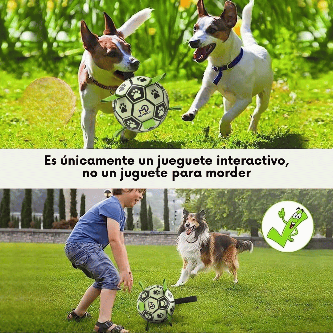 Pelota Interactiva Luminosa para Perros