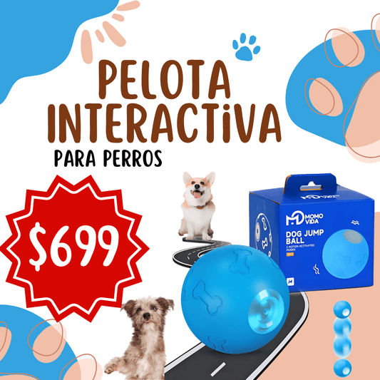 Pelota Interactiva para Perros