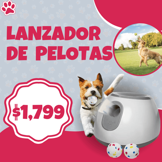 Lanzador de Pelotas para Mascotas