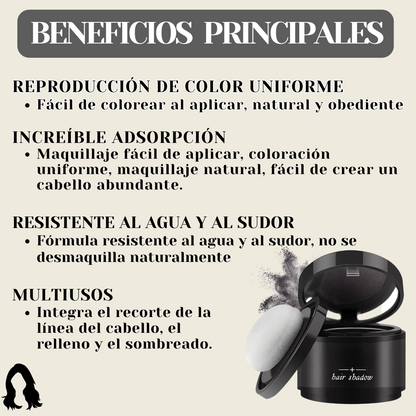 Polvo Maquillaje para Cabello