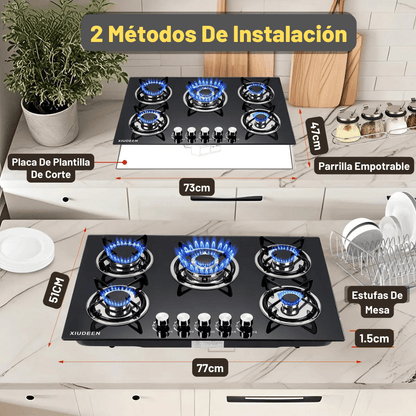 Parrilla de Gas Empotrable