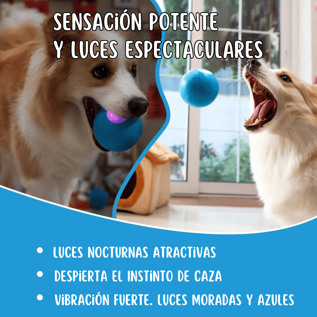 Pelota Interactiva para Perros
