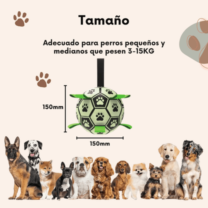 Pelota Interactiva Luminosa para Perros