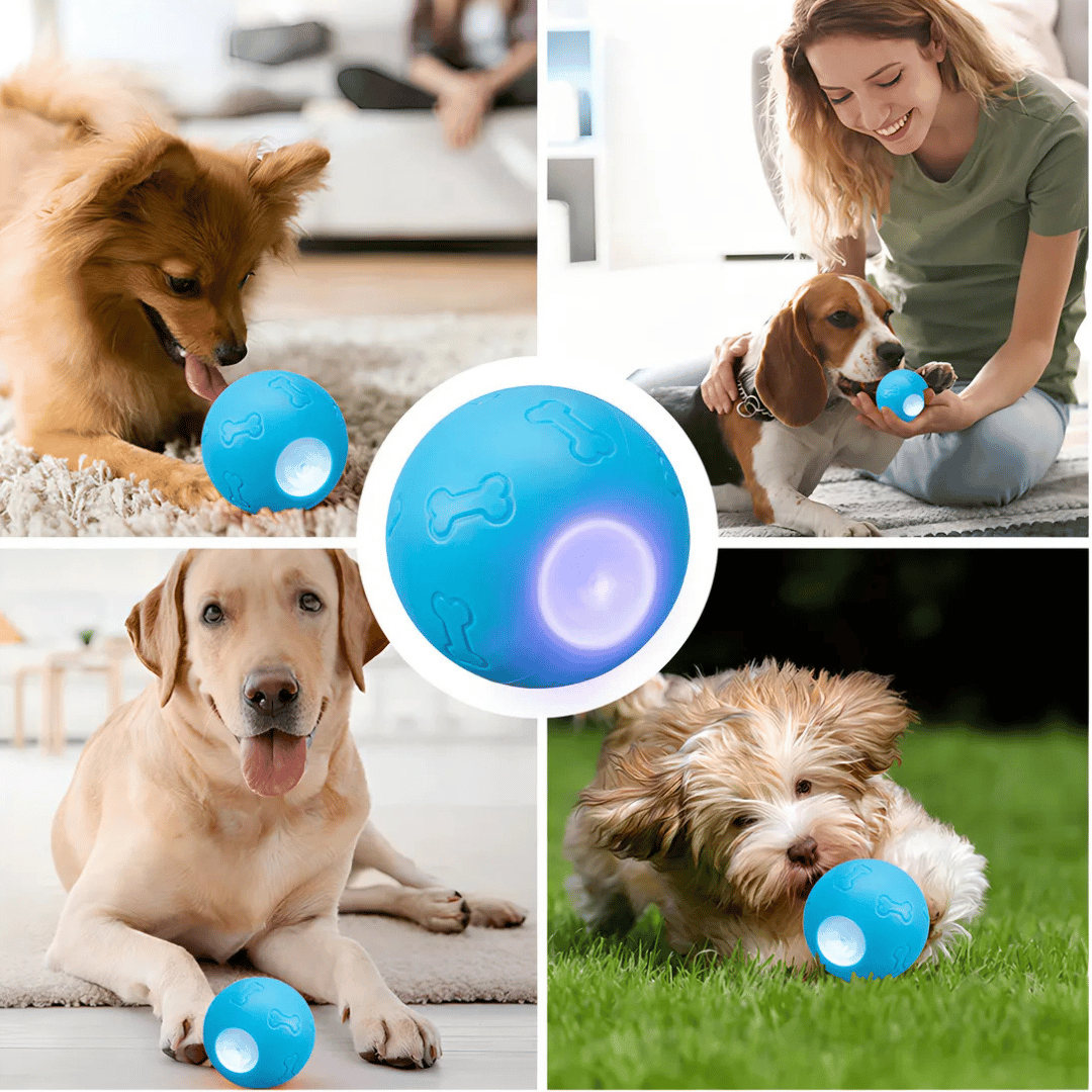 Pelota Interactiva para Perros