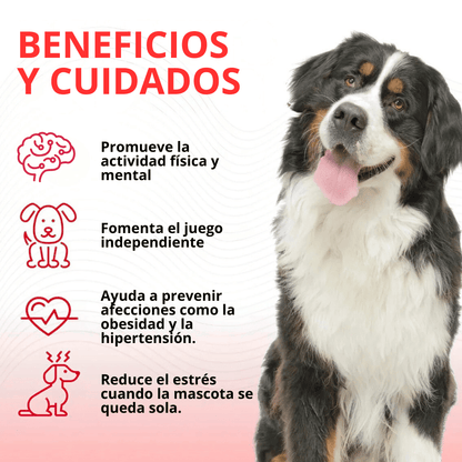 Lanzador de Pelotas para Mascotas