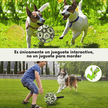 Pelota Interactiva Luminosa para Perros