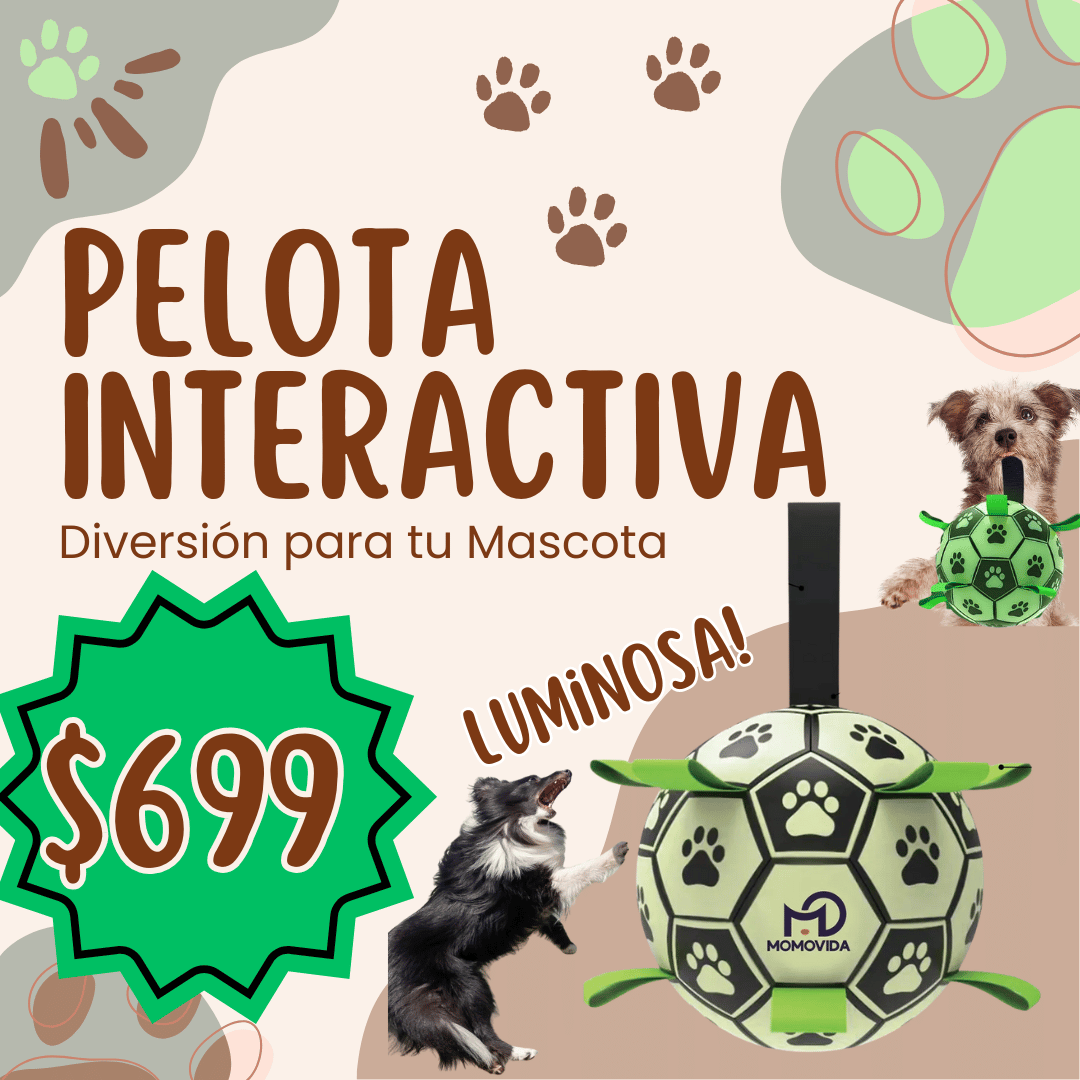 Pelota Interactiva Luminosa para Perros