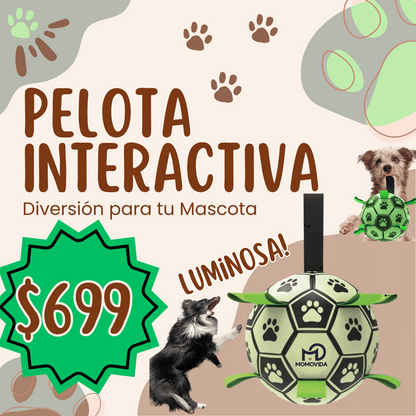 Pelota Interactiva Luminosa para Perros